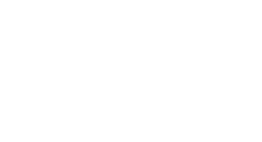 partner2
