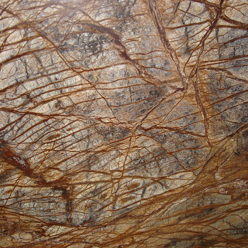 Forest Brown